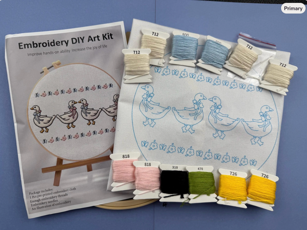 Hand Embroidery Kit